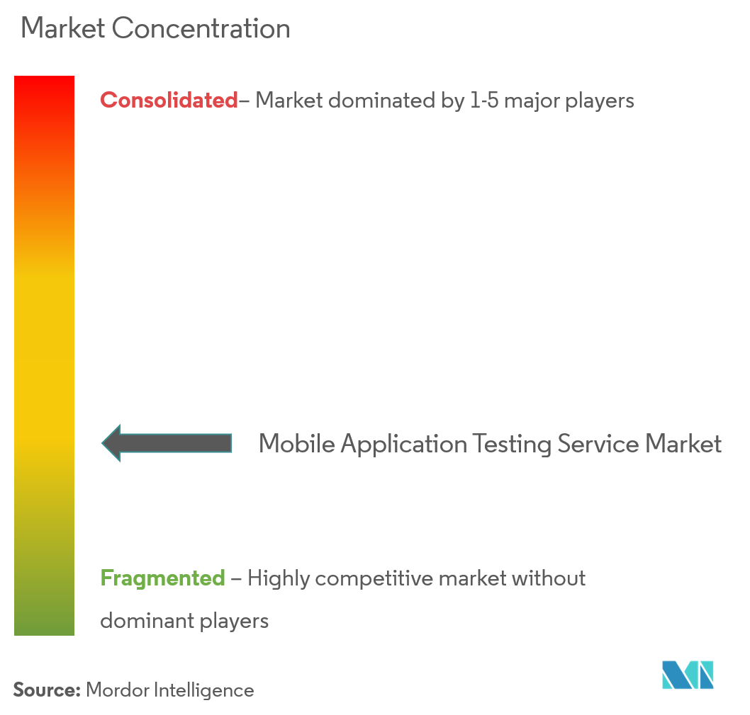 Mobile Application Testing Services Market Concentration